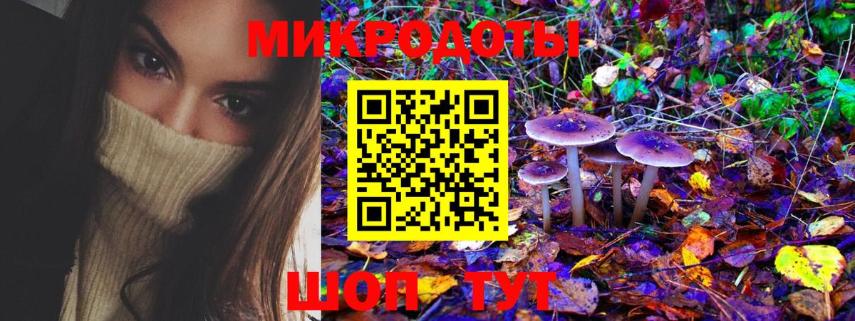 Ессентуки  Псилоцибиновые грибы Magic Shrooms  купить закладку  Галлюциногенные грибы Psilocybe  Вход с VPN 