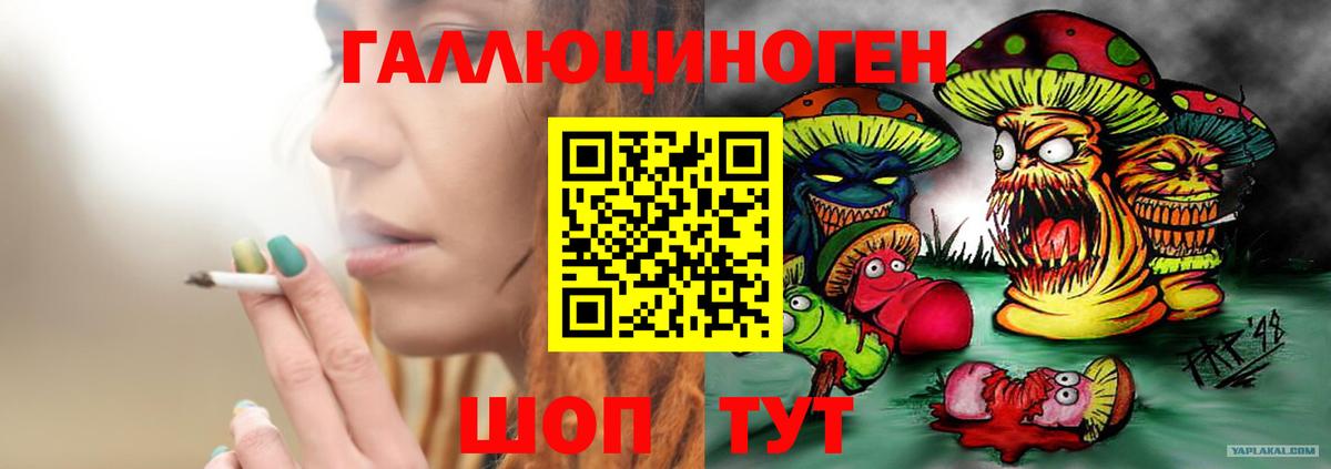 Псилоцибиновые грибы Cubensis Ессентуки